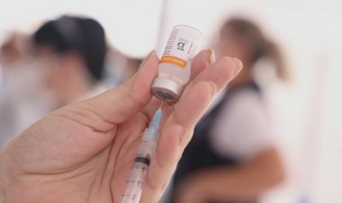 Goiás tem 22.230 mortos e 805.823 infectados