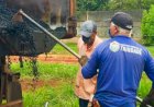 FRENTES DE SERVIÇOS DA PREFEITURA DE TRINDADE ATUAM EM VÁRIOS BAIRROS DA CIDADE. DETERMINAÇÃO DO PREFEITO MARDEN JÚNIOR QUE OS TRABALHOS SEJAM REALIZADOS EM TODOS SETORES DO MUNICÍPIO