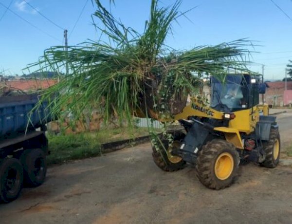 AS FRENTES DE SERVIÇOS DO PROGRAMA PREFEITURA TRABALHANDO POR VOCÊ CONTINUAM A TODO VAPOR ATUANDO EM BAIRROS DE TRINDADE